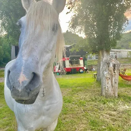 Apatamento Atico Daire Ardanué