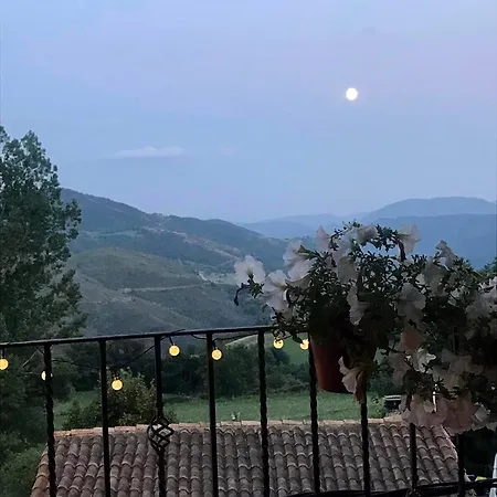 Apatamento Atico